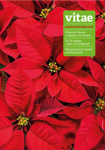 Vitae prosinec a leden